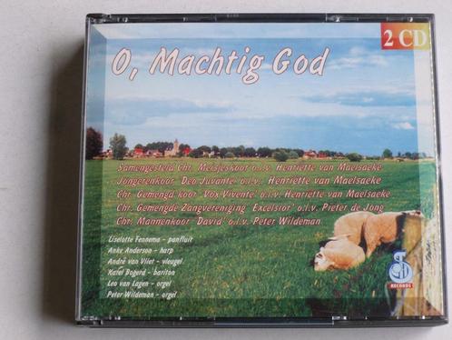 O, Machtig God - Peter Wildeman, andre van vliet(2 CD), Cd's en Dvd's, Cd's | Religie en Gospel, Verzenden