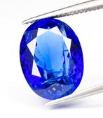 Zonder Minimumprijs Tanzaniet - 9.79 ct - Bellerophon Gemlab, Sieraden, Tassen en Uiterlijk, Edelstenen, Nieuw