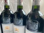 2010 Chateau Pape Clement - Pessac-Léognan Grand Cru Classé, Nieuw