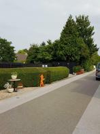 Goedkope metalen blokhut kopen - Multifunctioneel, Ophalen, 200 tot 400 cm, 250 tot 500 cm, Schuur