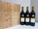 2003 Bodegas Emilio Moro Malleolus de Valderramiro -, Nieuw