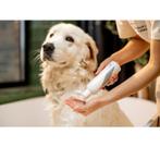 Droog Shampoo voor honden, Ophalen of Verzenden, Nieuw