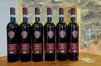 2023 Paolo Magi, Vion Merlot Cortona - Toscane DOC - 6, Nieuw