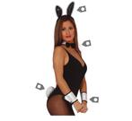 Playboy Bunny Set, Kleding | Dames, Carnavalskleding en Feestkleding, Nieuw, Verzenden