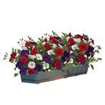 Calibrachoa Mixmaster - Cafe de Paris / Balkonbak 40 cm, Tuin en Terras, Ophalen of Verzenden