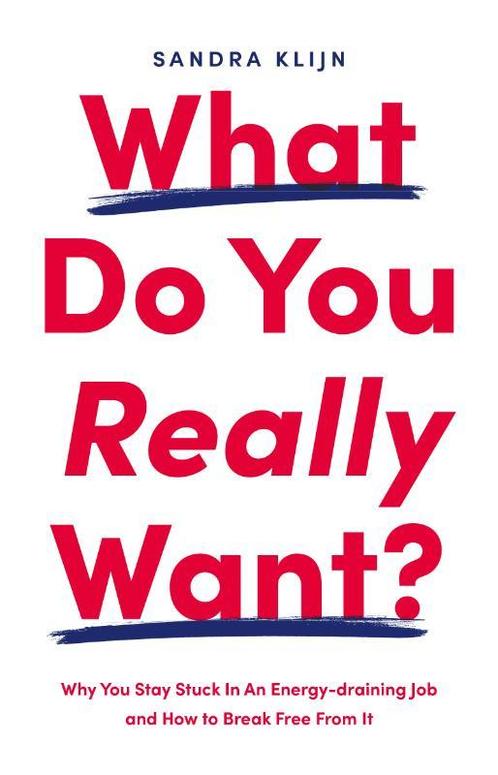 What Do You Really Want? 9789083368320 Sandra Klijn, Boeken, Economie, Management en Marketing, Zo goed als nieuw, Verzenden