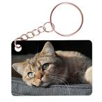 Sleutelhanger 6x4cm - Europese Korthaar kat Tijger Liggend o, Ophalen of Verzenden, Nieuw