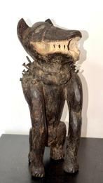 Chien Kongo Nkisi Nkonde - DR Congo (Zonder minimumprijs)