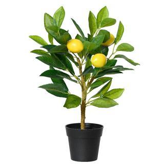Kunstplant Citroenboom | Decoris | 43 cm (In pot, Ø 21 cm), Huis en Inrichting, Woonaccessoires | Kunstplanten en Kunstbloemen