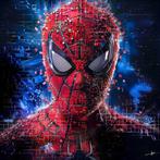 David Law - Spiderman X - Format XL 60x60