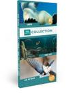 BBC Earth Collection (3dvd) DVD