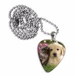 Plectrum ketting of sleutelhanger van een puppy en kitten, Ophalen of Verzenden, Nieuw