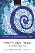 Process Sensemaking & Organizing Pros P 9780199655564, Verzenden, Zo goed als nieuw, Sally Maitlis