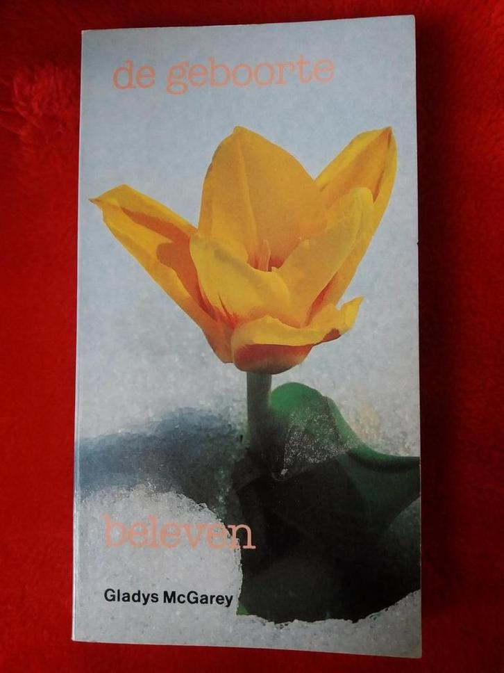 Geboorte beleven 9789020252309 MacGarey, Boeken, Zwangerschap en Opvoeding, Gelezen, Verzenden
