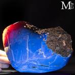 AMBRA SUMATRA - Fossiele barnsteenmonster uit Sumatra -, Verzamelen