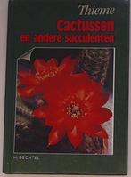CACTUSSEN EN ANDERE SUCCULENTEN / Bloemen en planten Bechtel, Verzenden, Zo goed als nieuw, Bechtel