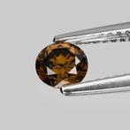 1 pcs Diamant (Natuurlijk gekleurd) - 0.51 ct - Rond - Fancy, Nieuw