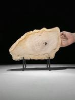 Indrukwekkende plak versteend hout op een op maat gemaakte