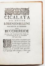 Bellini - La Bucchereide - 1729, Antiek en Kunst