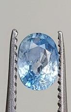 Saffier - 1.45 ct - Antwerp Laboratory for Gemstone Testing, Nieuw