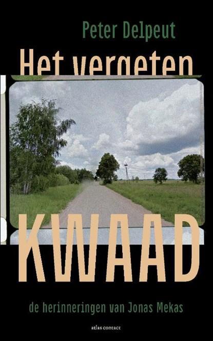 Het vergeten kwaad | 9789045043494 | Peter Delpeut, Boeken, Literatuur, Zo goed als nieuw