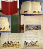 Das Tierbuch des Petrus Candidus - Codex Urbinas Latinus -, Antiek en Kunst, Antiek | Boeken en Bijbels