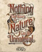 Poster Fantastic Beasts Unnatural 40x50cm, Verzamelen, Verzenden, Nieuw, A1 t/m A3