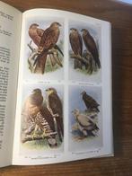 H. F. Witherby - The Handbook Of British Birds - 1946