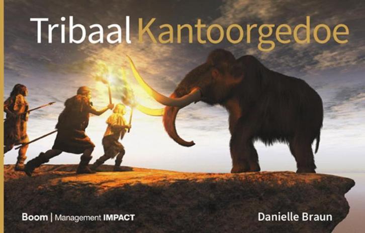 Tribaal kantoorgedoe 9789462763845 Danielle Braun, Boeken, Economie, Management en Marketing, Gelezen, Verzenden