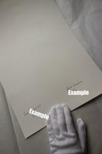 Marta Romashina - In Silico