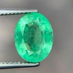 Zonder Minimumprijs - 1 pcs Groen Smaragd - 3.84 ct -, Sieraden, Tassen en Uiterlijk, Edelstenen, Nieuw