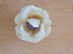 Off white Pokerchip Rose., Verzenden, Nieuw