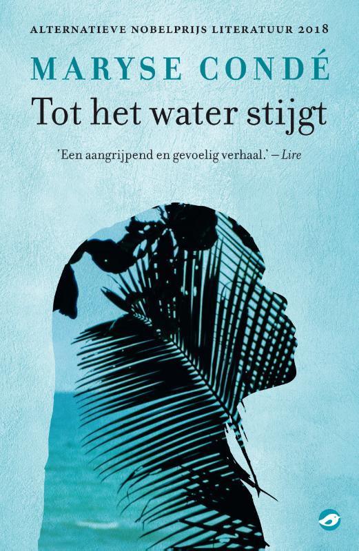 Tot het water stijgt 9789493081901 Maryse Condé, Boeken, Romans, Zo goed als nieuw, Verzenden