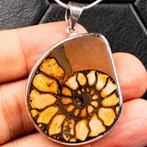 Exclusieve hanger - fossiele spiraal Jurassic Silver Jewelry