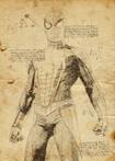 Spiderman - Spiderman, Da Vinci Series - limited edition 2/5