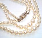 Halsketting 18 kt witgoud - Akoya-parels - 2-rijig -, Nieuw