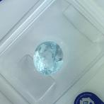 Zonder minimumprijs - 1 pcs Groen Paraiba toermalijn - 1.63, Sieraden, Tassen en Uiterlijk, Edelstenen, Nieuw