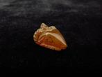Oud-Egyptisch Kornalijn amulet van het hoofd van de god