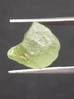 Natural Green Peridot - 10.634 ct - rough gemstone - for fac, Sieraden, Tassen en Uiterlijk, Edelstenen, Nieuw