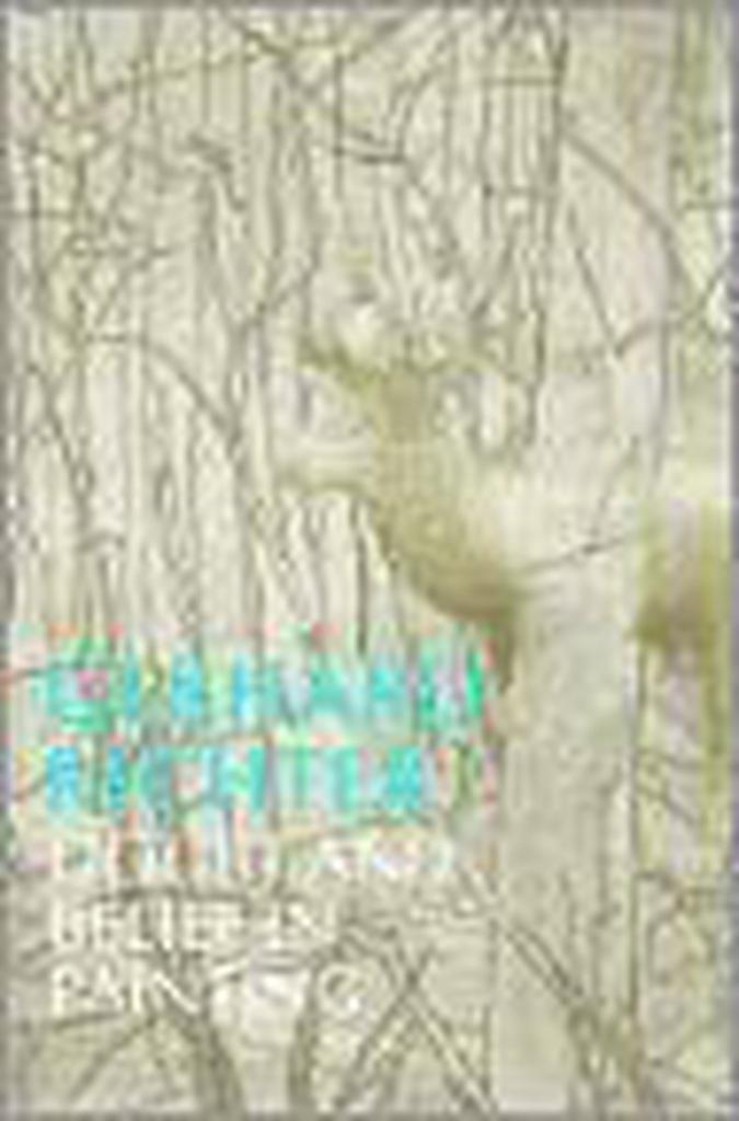 Gerhard Richter. Doubt and belief in painting 9780870703553, Boeken, Taal | Engels, Gelezen, Verzenden