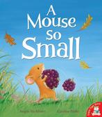 Mouse So Small 9781848691322 Angela McAllister, Verzenden, Gelezen, Angela McAllister