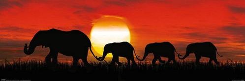 Poster Sunset Elephants 91,5x30,5cm, Verzamelen, Posters, Nieuw, A1 t/m A3, Verzenden