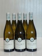 2023 Domaine Françoise André, Chorey-les-Beaune Tue-Boeuf, Nieuw