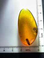 Barnsteen (Zonder minimumprijs)