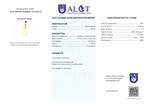 ALGT-gecertificeerd - Enorme natuurlijke citrienhanger - Een