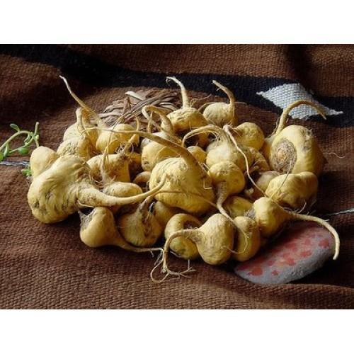 Maca 10:1 Geel - 100 Capsules 600mg, Sport en Fitness, Gezondheidsproducten en Wellness, Poeder of Drank, Nieuw, Verzenden