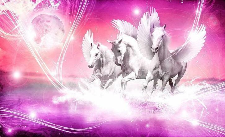 Paarden fotobehang L Pegasus roze Paarden behang *Muurdeco4, Huis en Inrichting, Stoffering | Behang, minder dan 10 m², Ophalen of Verzenden
