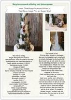 Diy werkbeschrijving berg besneeuwde afdaling met, Huis en Inrichting, Woonaccessoires | Kunstplanten en Kunstbloemen, Ophalen of Verzenden