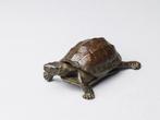 Realistische Miniatuur Schildpad  beweegbare kop en staart