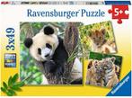 Panda, Tijger en Leeuw Puzzel (3x49 stukjes) | Ravensburger, Kinderen en Baby's, Speelgoed | Kinderpuzzels, Nieuw, Verzenden